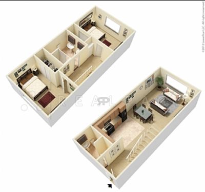 kaylanirose profile photo