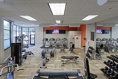 kaylanirose profile photo