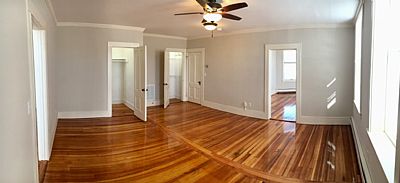 steliosp profile photo