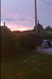 freedriver12 profile photo