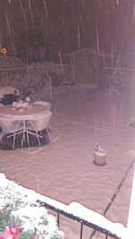 freedriver12 profile photo