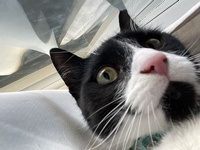 ehn0519 profile photo