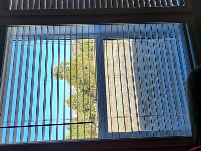 LizbethNEFlag profile photo