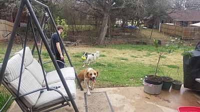 JenWojan profile photo