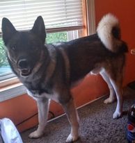 fawn48060 profile photo