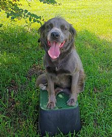 SWilladsen profile photo