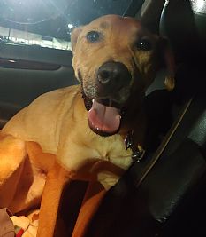 SWilladsen profile photo