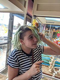 emwheeler98 profile photo