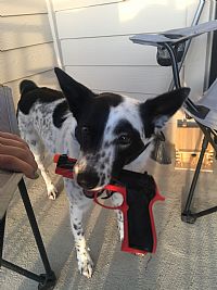 emwheeler98 profile photo