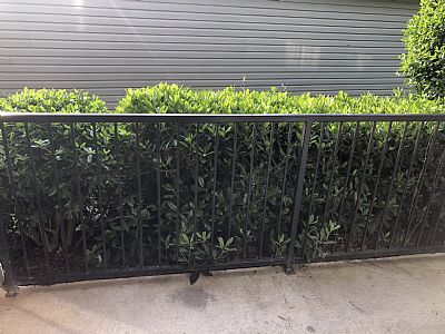 Nishit786 profile photo