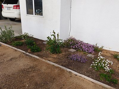 MindyS profile photo