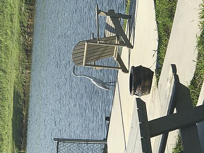 Craigfed profile photo