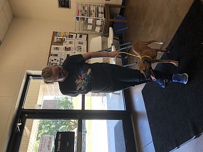 SydSims profile photo