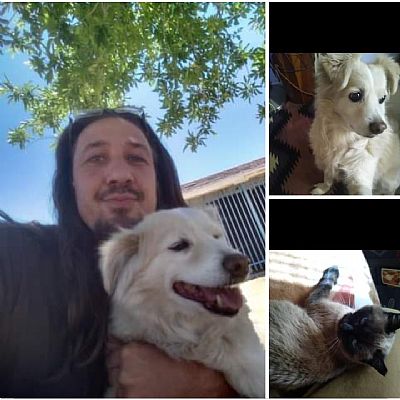 Zuriel profile photo