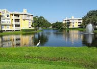 Desjohn profile photo