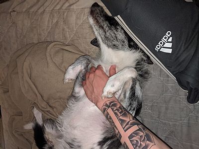 Clayv22 profile photo