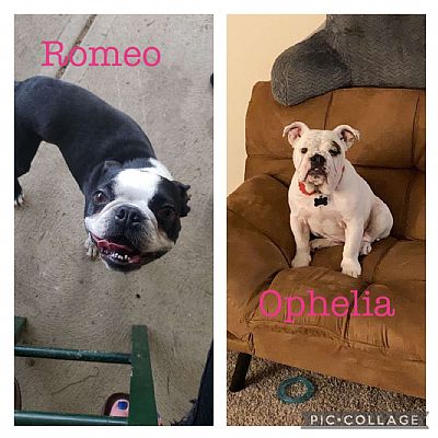 parsona112 profile photo