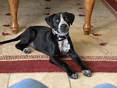 Steph@ni3 profile photo