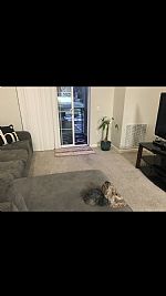 amtwileg profile photo