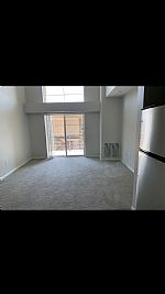 amtwileg profile photo