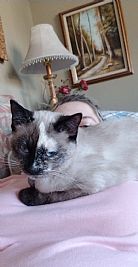 msp2421 profile photo