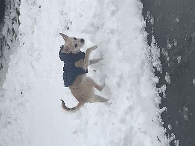 MakaylaDD1216 profile photo