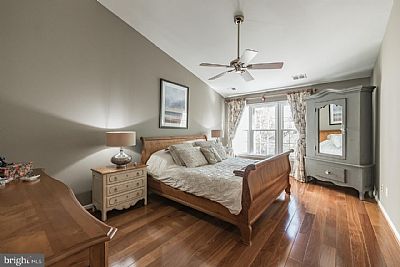 danxman profile photo