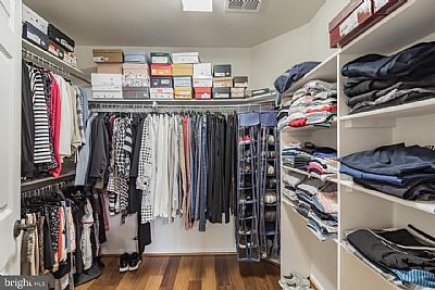 danxman profile photo