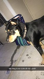 Emimay profile photo