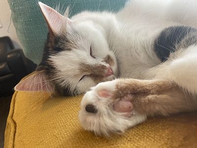 Kmullen profile photo