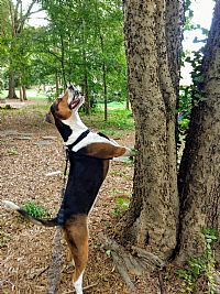 jsgt1768 profile photo