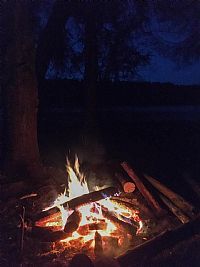 Gummybearsrock profile photo