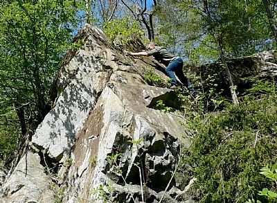 Gr8Room8 profile photo