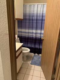 thesunisout profile photo