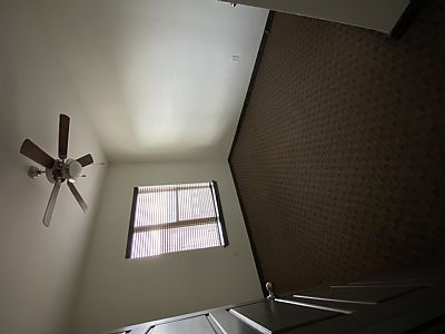 almarosef profile photo