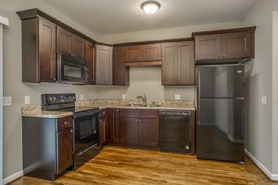 Caylorlanius profile photo