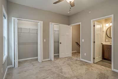 Caylorlanius profile photo