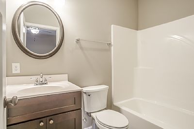 Caylorlanius profile photo