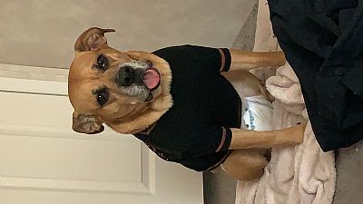 dustydavis profile photo