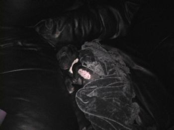 Shanna07 profile photo