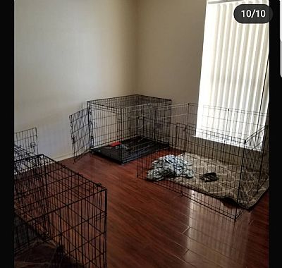 Paytonacourtney profile photo