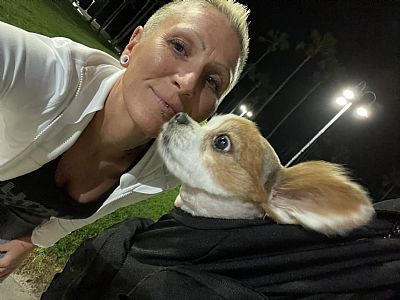 Angelswitch profile photo