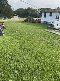 Cjfunboi profile photo