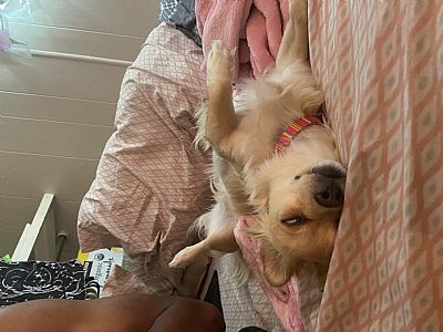 shaymiller105 profile photo