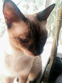 Ethan_Allerton profile photo