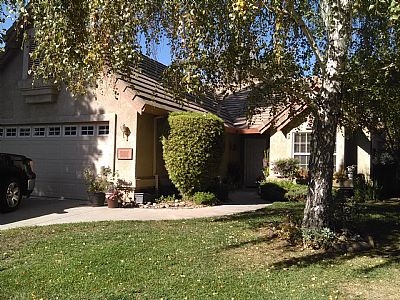 nbmartine profile photo