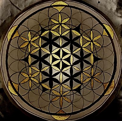 7Warrior profile photo