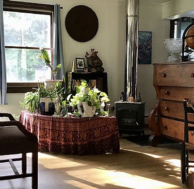 7Warrior profile photo