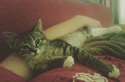 Melish profile photo