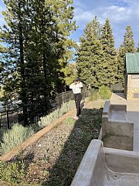 mehrsaamp profile photo